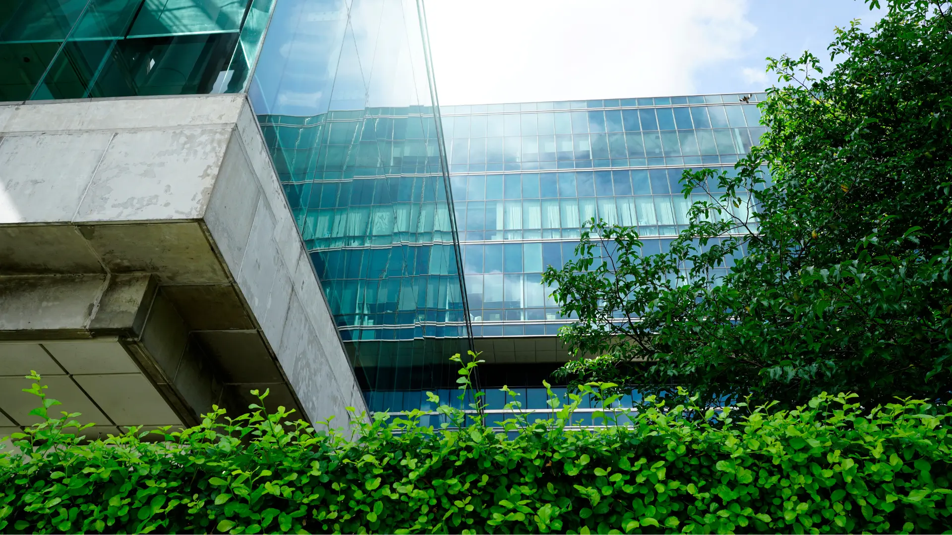 ESG Risk Mitigation Strategies: How iSystain Supports Smarter Decision-Making
